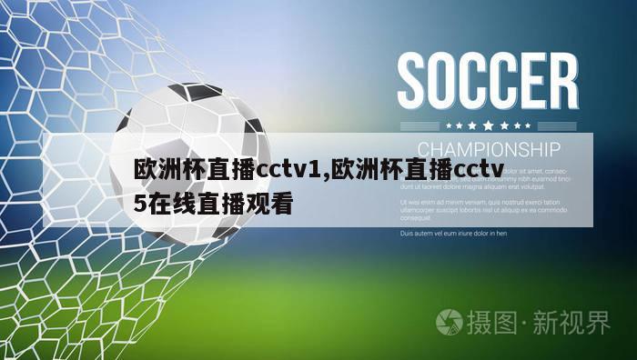 欧洲杯直播cctv1,欧洲杯直播cctv5在线直播观看